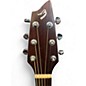 Used Breedlove Passport C250/CME Natural Acoustic Electric Guitar