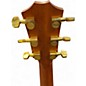 Used Taylor 224CEKDLX SHADED EDGE BURST Acoustic Electric Guitar