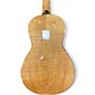 Used Republic TRIOLIAN RESONATOR FLAMED MAPLE Acoustic Guitar