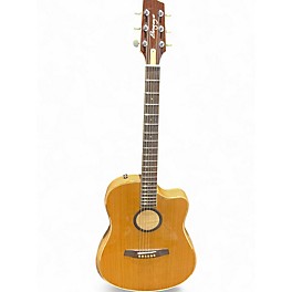 Used LR Baggs AEG-1 Natural Acoustic Electric Guitar