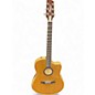 Used LR Baggs AEG-1 Natural Acoustic Electric Guitar thumbnail