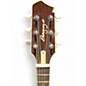 Used LR Baggs AEG-1 Natural Acoustic Electric Guitar