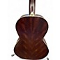 Used Ibanez PN19  NATURAL BROWN BURST Acoustic Guitar