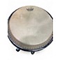 Used LP PERFORMANCE SERIES CONGA Conga