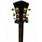 Used Cort Gold A8 LB Tobacco Sunburst Acoustic Guitar