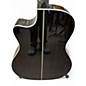 Used Cort Gold A8 LB Tobacco Sunburst Acoustic Guitar