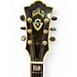 Used Guild 1981 F50BLN JUMBO ACOUSTIC Natural Acoustic Guitar