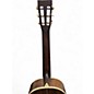 Used Washburn R314KK Spruce/Trembesi Acoustic Guitar