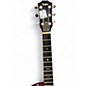 Used Taylor 524CE Brown Acoustic Guitar