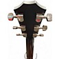 Used Taylor 524CE Brown Acoustic Guitar
