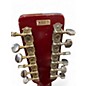 Used Global Guitars Dove 12 Natural 12 String Acoustic Guitar