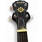 Used Austin AU675 RED Banjo