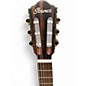 Used Ibanez FRH10NRGF Rose Gold Metallic Classical Acoustic Electric Guitar