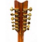 Vintage 1990s Washburn D-25S-12N Natural 12 String Acoustic Guitar