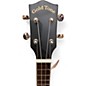 Used Gold Tone CC-Tenor Natural Banjo