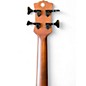 Used Luna LAB 30 TRIBAL Natural Acoustic Bass Guitar