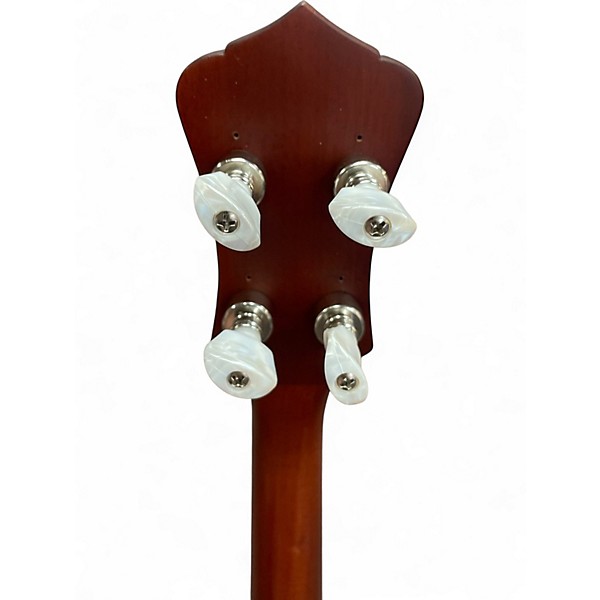 Used Recording King RKH05 DIRTY 30'S Brown Banjo