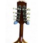 Used J. Reynolds Mandolin Natural Mandolin
