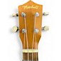 Used Mitchell mu40nt Natural Ukulele