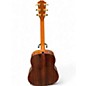 Used Taylor 217E SB PLUS 50TH ANNIVERSARY 2 Color Sunburst Acoustic Electric Guitar