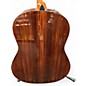 Used Taylor 217E SB PLUS 50TH ANNIVERSARY 2 Color Sunburst Acoustic Electric Guitar