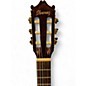 Used Ibanez galvador classical Walnut Classical Acoustic Electric Guitar