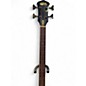 Used Padulla MVP Fretless Black Electric Bass Guitar
