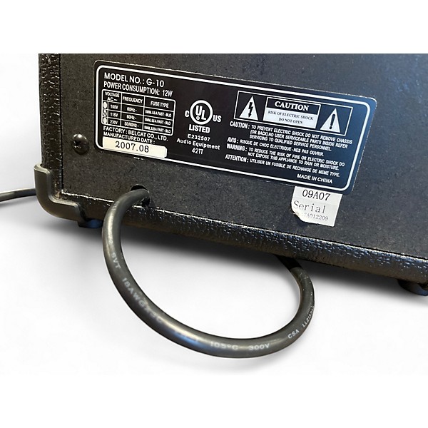 Used Burswood g-10 Battery Powered Amp