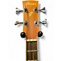Used Ibanez PNB14E-OPN Worn Natural Acoustic Bass Guitar