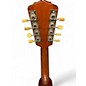 Vintage 1916 Gibson A Style Mandolin Natural Mandolin