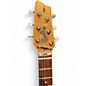 Used Godin RADIATOR COOL SOUND BLACK Solid Body Electric Guitar