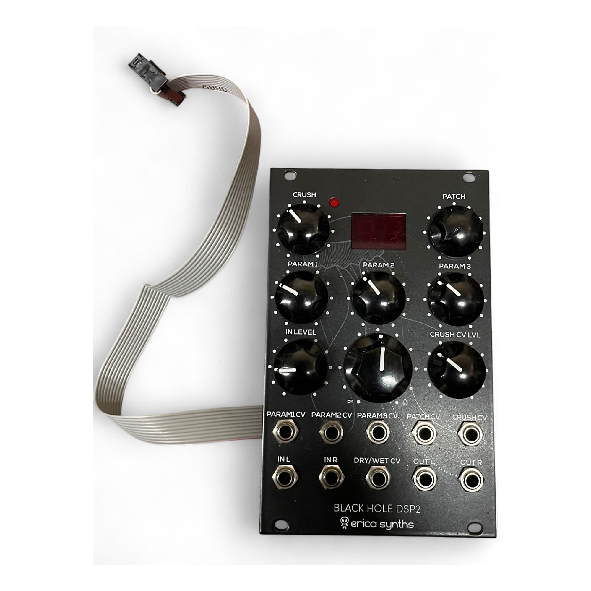 Used Erica Synths BLACK HOLE DSP2 Sound Module | Guitar Center