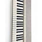 Used Casio CASIOTONE CTS1 WE