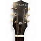 Used Holiday F66 3 Color Sunburst Acoustic Guitar