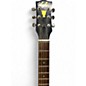 Used Lyle 601S 2 Color Sunburst Acoustic Guitar