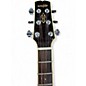 Used Wechter Guitars nv5513ve Natural Acoustic Electric Guitar
