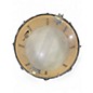 Used Percussion Plus 14in POPLAR WHITE Drum