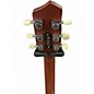 Used LR Baggs AEG-1 Antique Burst Acoustic Electric Guitar