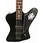 Used Epiphone Nikki Sixx Signature Blackbird Matte Black Satin Electric Bass Guitar