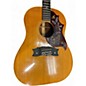 Vintage 1965 Gibson J-50 Natural Acoustic Guitar