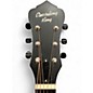 Used Recording King swamp dog Distressed Vintage Green Acoustic Guitar