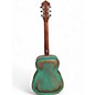 Used Recording King swamp dog Distressed Vintage Green Acoustic Guitar