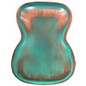 Used Recording King swamp dog Distressed Vintage Green Acoustic Guitar