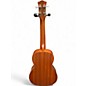 Used Luna Tattoo Concert Natural Ukulele