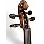Used Christina VSeries Muse Acoustic Violin