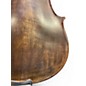 Used Christina VSeries Muse Acoustic Violin