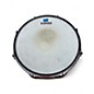 Used Pork Pie 7X13 THE LITTLE SQUEALER Brown Drum