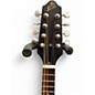 Used The Loar LM310F BOURBON BURST Mandolin