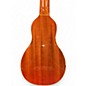 Used Washburn Ro10 Rover Tobacco Sunburst Acoustic Guitar