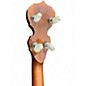Used Deering Sierra 5 String Natural Banjo